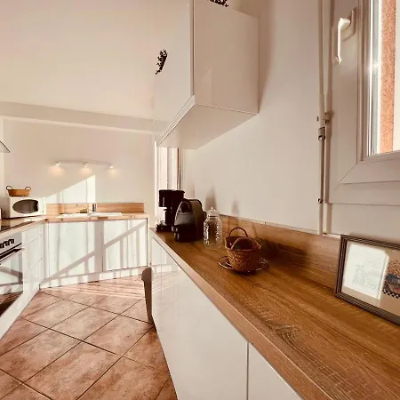 Duplex Centre Ville Vue Mer Et Parking *